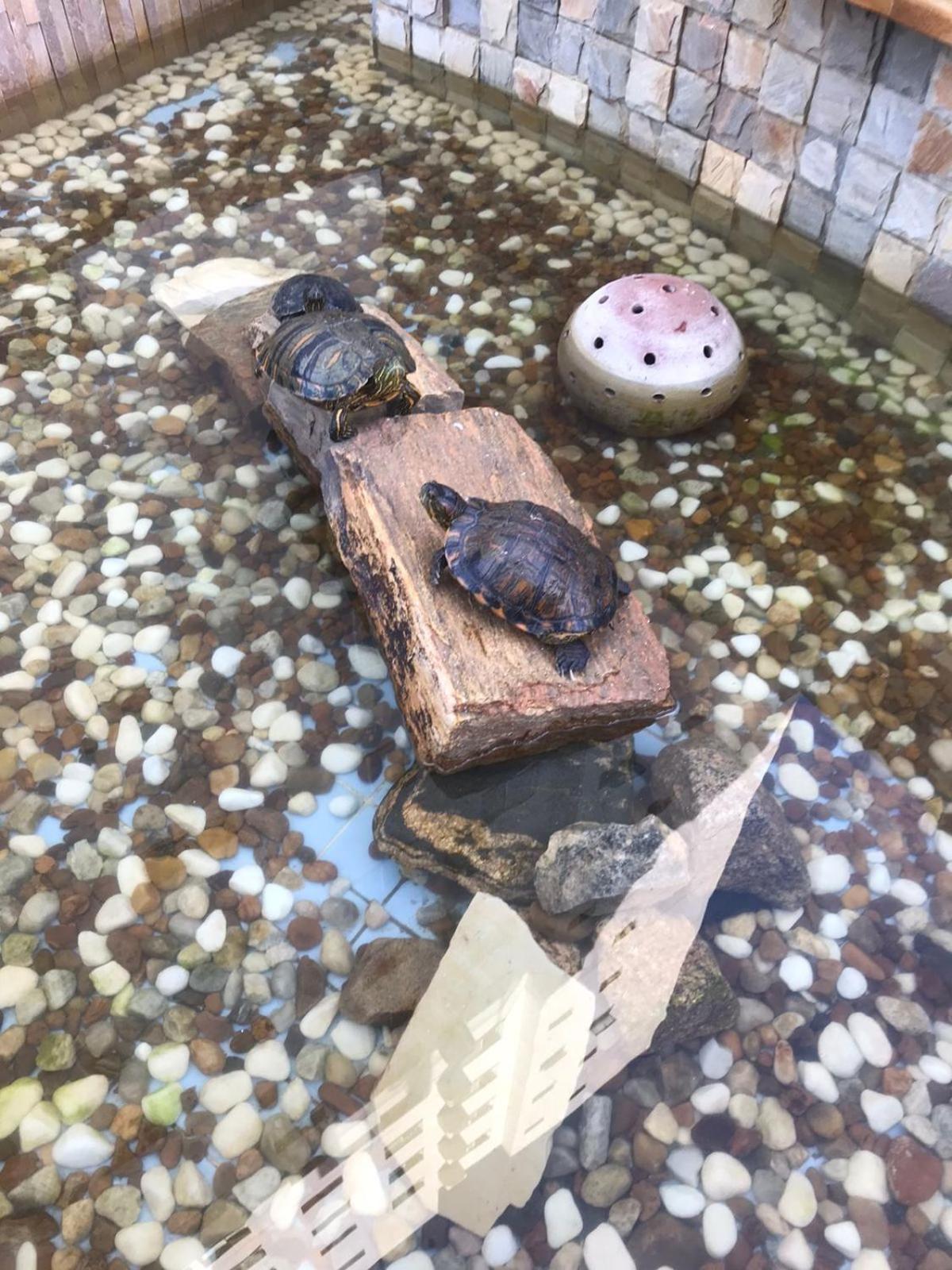 Apto Top No Tombo グァルジャー エクステリア 写真